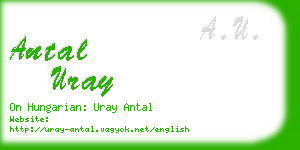 antal uray business card